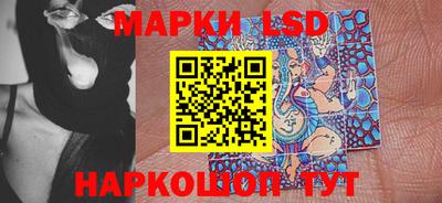 a pvp Новозыбков