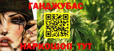 a pvp Новозыбков