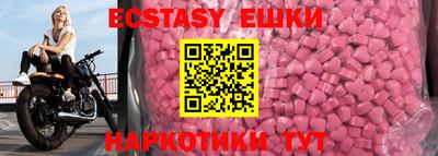 a pvp Новозыбков