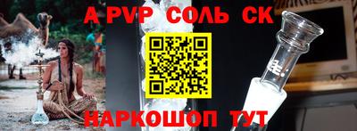 a pvp Новозыбков