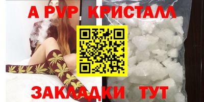 a pvp Новозыбков