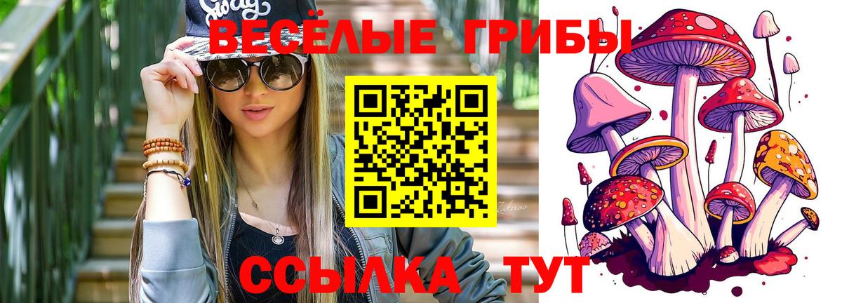 Псилоцибиновые грибы Psilocybe  Псилоцибиновые грибы Magic Shrooms  Вход с VPN  Таганрог 