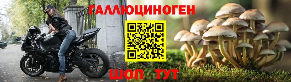 Псилоцибиновые грибы MAGIC MUSHROOMS Таганрог